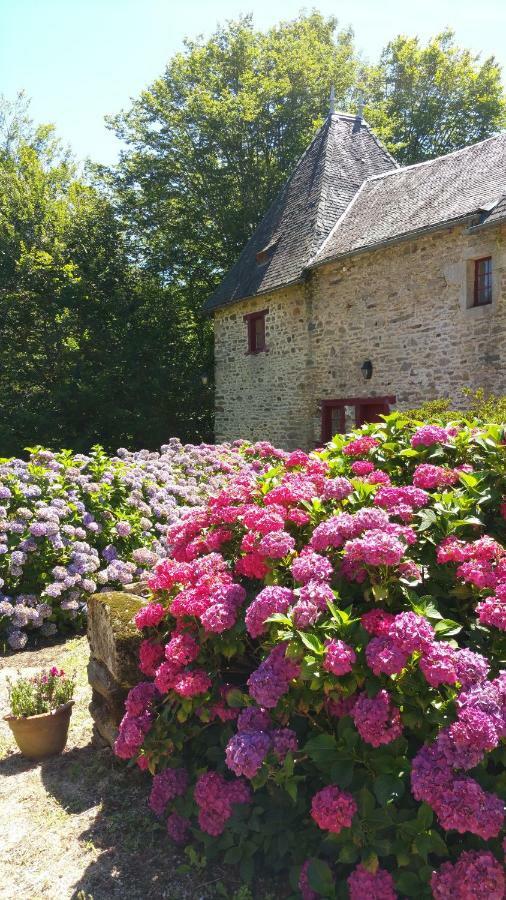 Chateau De Bellefond Lagraulière Exterior foto